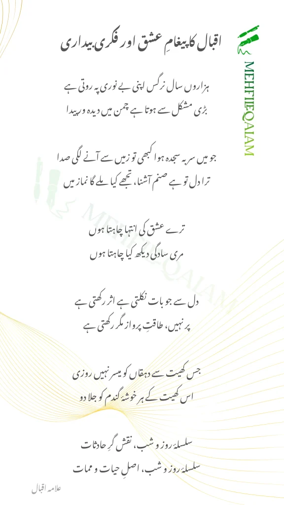 یہ اشعار فلسفہ، بصیرت، اور حقیقی عشق کی گہرائی بیان کرتے ہیں