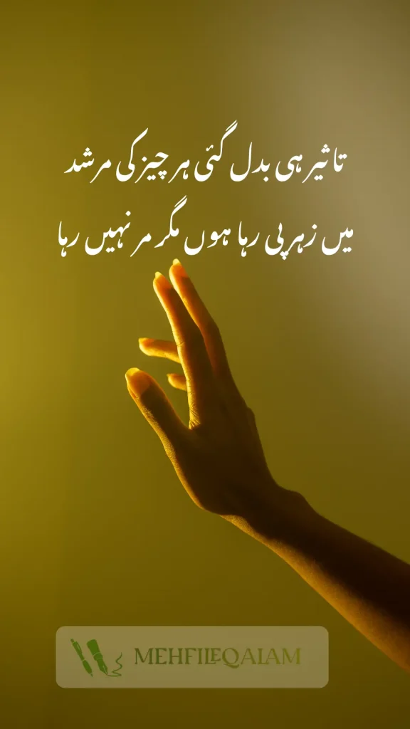 Emotional Urdu shayari couplet with sad theme