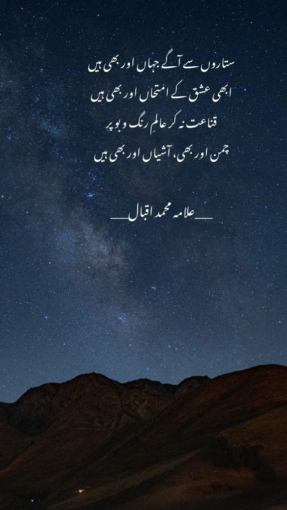 ذات، شعور اور زندگی کے معنی پر اردو شاعری